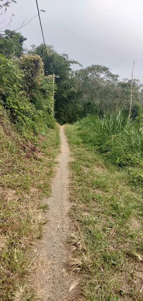 PENGERASAN JALAN USAHA TANI, RABAT BETON TEMPEK BATU DESA BATUKAANG